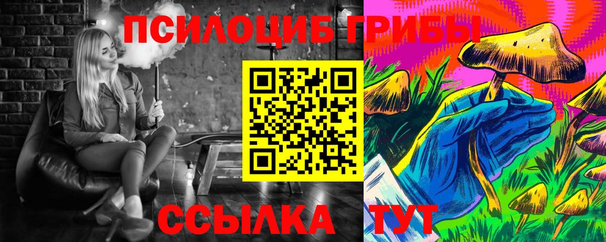 Учалы  Псилоцибиновые грибы Cubensis  Вход с VPN 