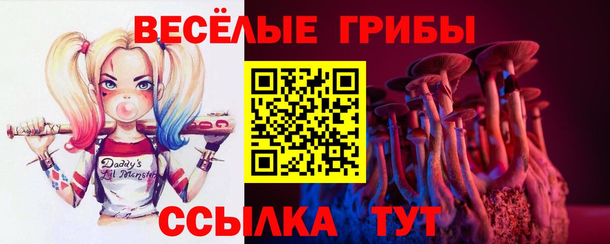 Псилоцибиновые грибы MAGIC MUSHROOMS Учалы